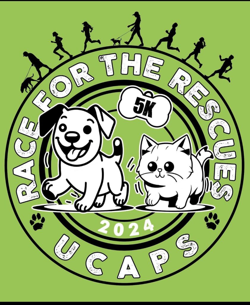 Women's Self Defense Class El Dorado, Arkansas